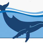 australian marine conservation society, whale